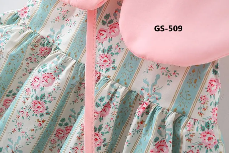 GS-509-2.webp