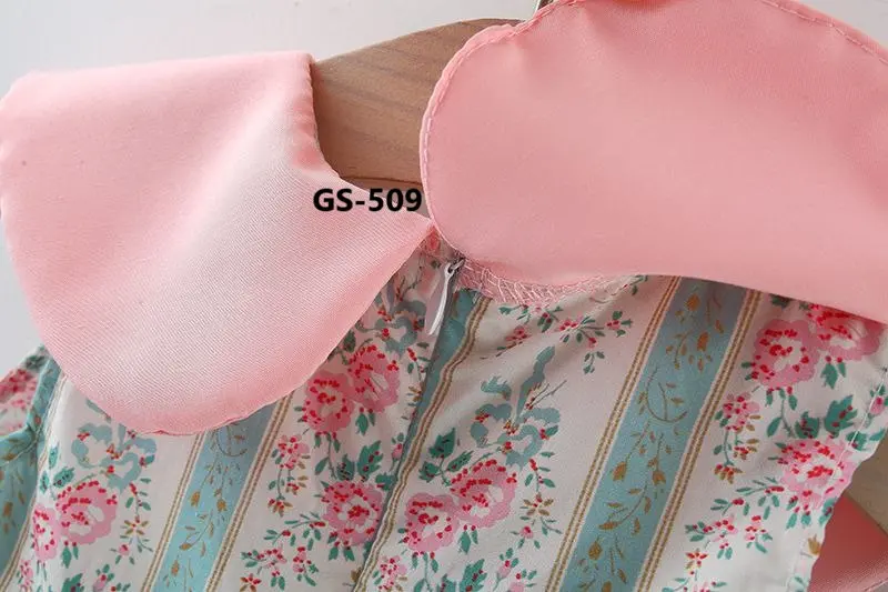 GS-509-6.webp