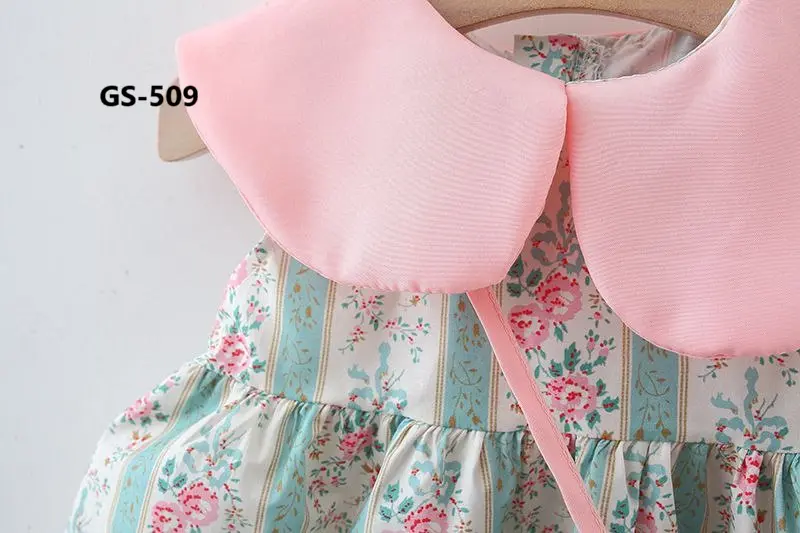 GS-509-1.webp